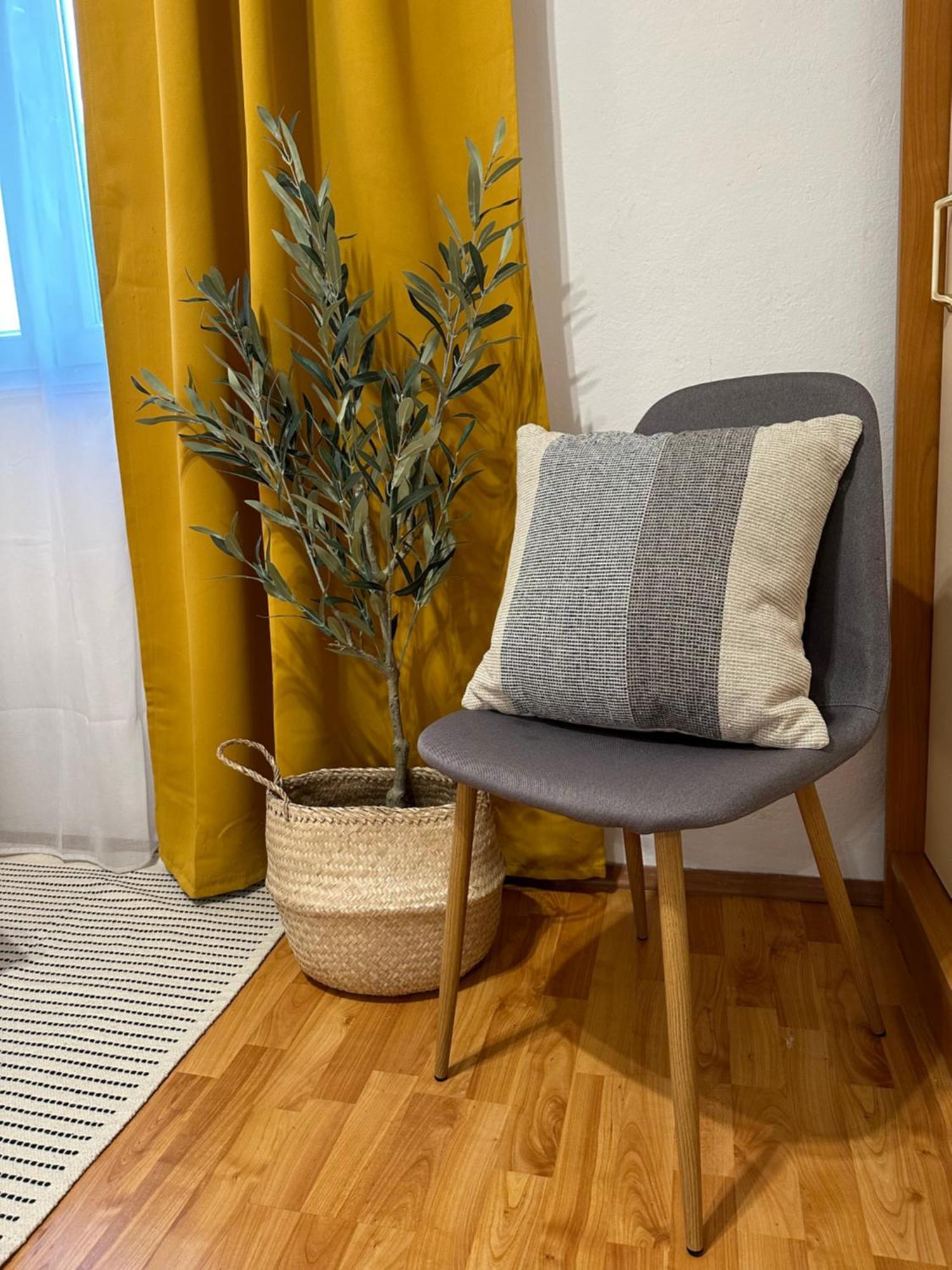 Adriatic Vibes Apartments 扎达尔 外观 照片
