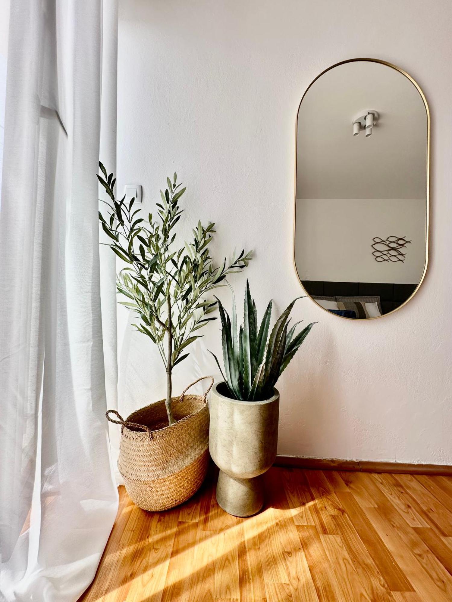 Adriatic Vibes Apartments 扎达尔 外观 照片